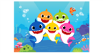 baby shark 